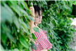 1000部夫妻午夜免费