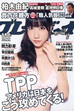 再婚进行时 电视剧