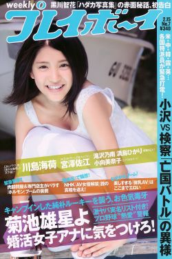 拥抱太阳的月亮