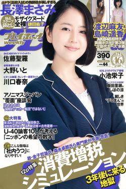 妖精尾巴国语版全集